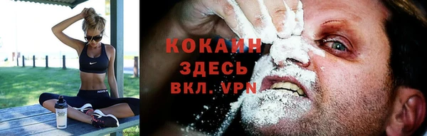 ГАЛЛЮЦИНОГЕННЫЕ ГРИБЫ Няндома