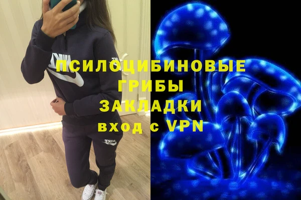 мдпв Нязепетровск