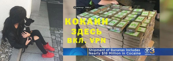 ГАЛЛЮЦИНОГЕННЫЕ ГРИБЫ Няндома