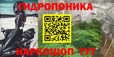 spice Бугуруслан