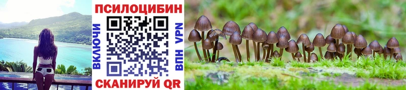 Псилоцибиновые грибы ЛСД  площадка официальный сайт  Курганинск 